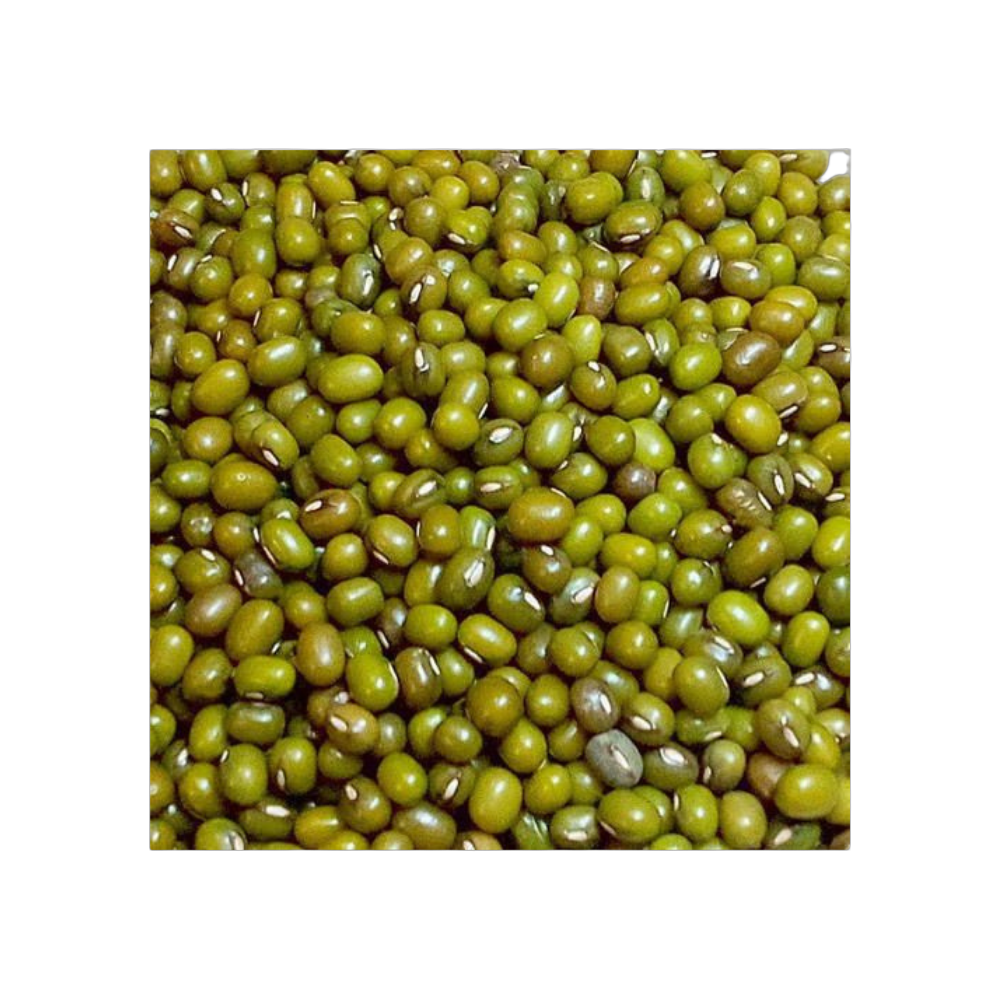Mung Beans – Nutritious, Fresh & Flavorful Green Lentils