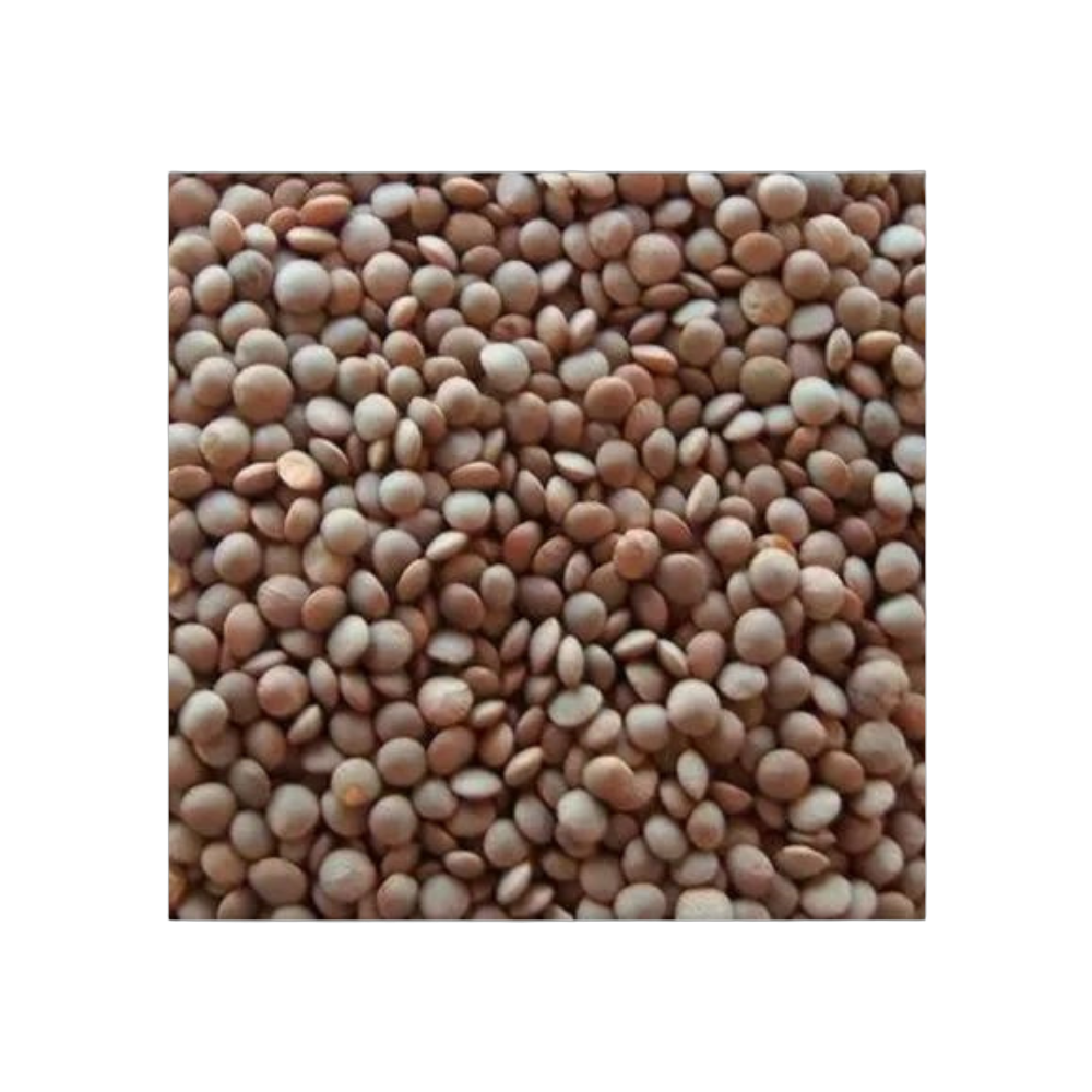 Masoor Whole – Nutritious, Protein-Rich Whole Red Lentils 1kg