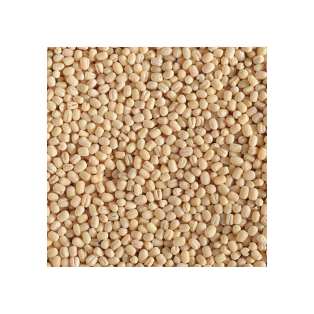 Urad Dal White – Nutritious, Protein-Rich Split White Lentils