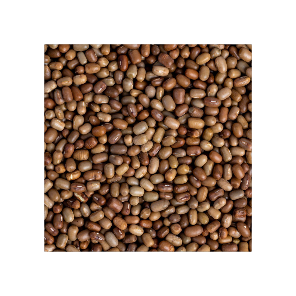 Moth Beans – Nutritious, Protein-Rich Matki Lentils