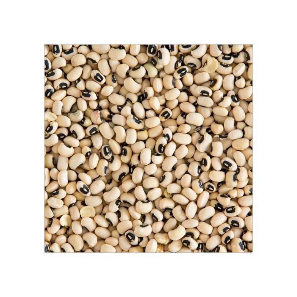 Black Eyed Beans – Nutritious, Protein-Rich Lobia