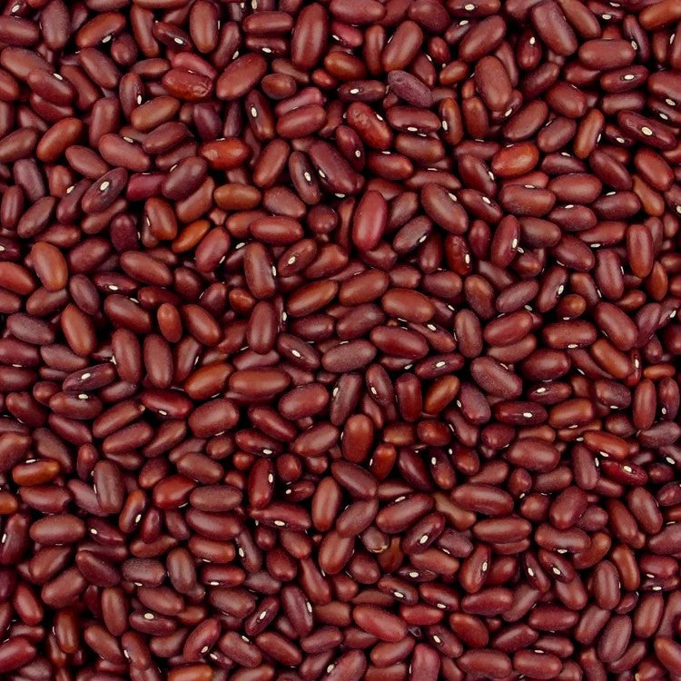 Red Kidney Beans – Nutritious, Protein-Rich Rajma